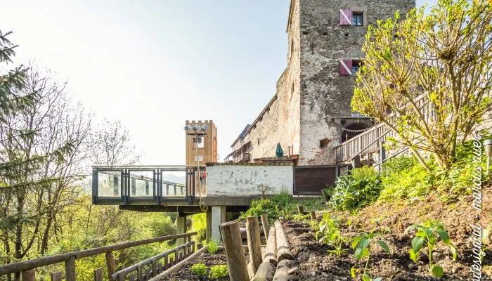 Burg Oberkapfenberg