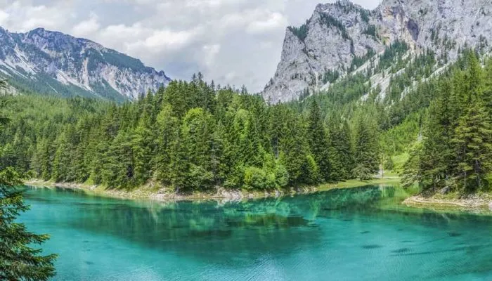 Grüner See